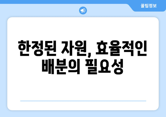 자원 분배 문제와 경제적 해결책